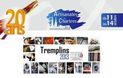 les-artisanales-tremplins-2013-1.png